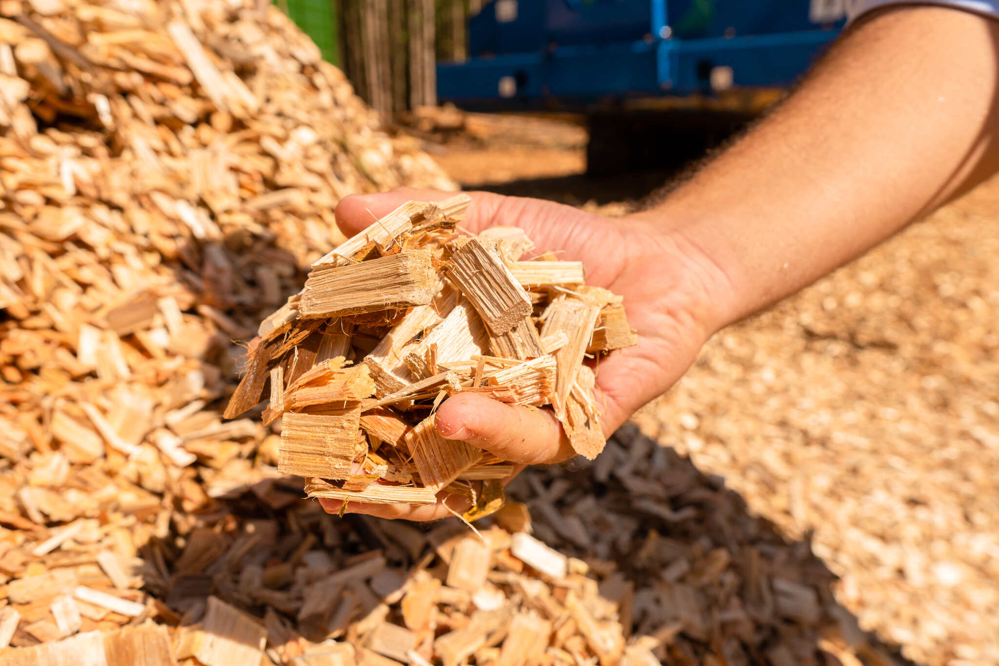 a revolução do biocombustivel