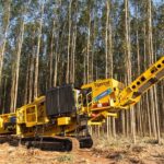 Produtividade sustentável com inovação e eficiência