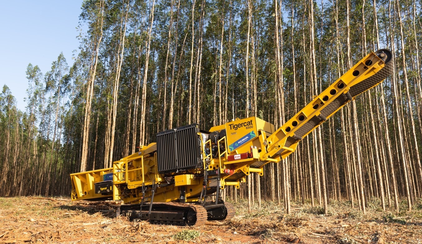 Produtividade sustentável com inovação e eficiência